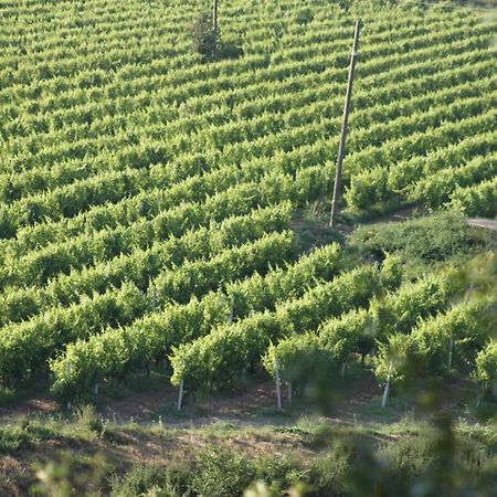 Apartmani Dienes Novi Vinodolski Kültér fotó