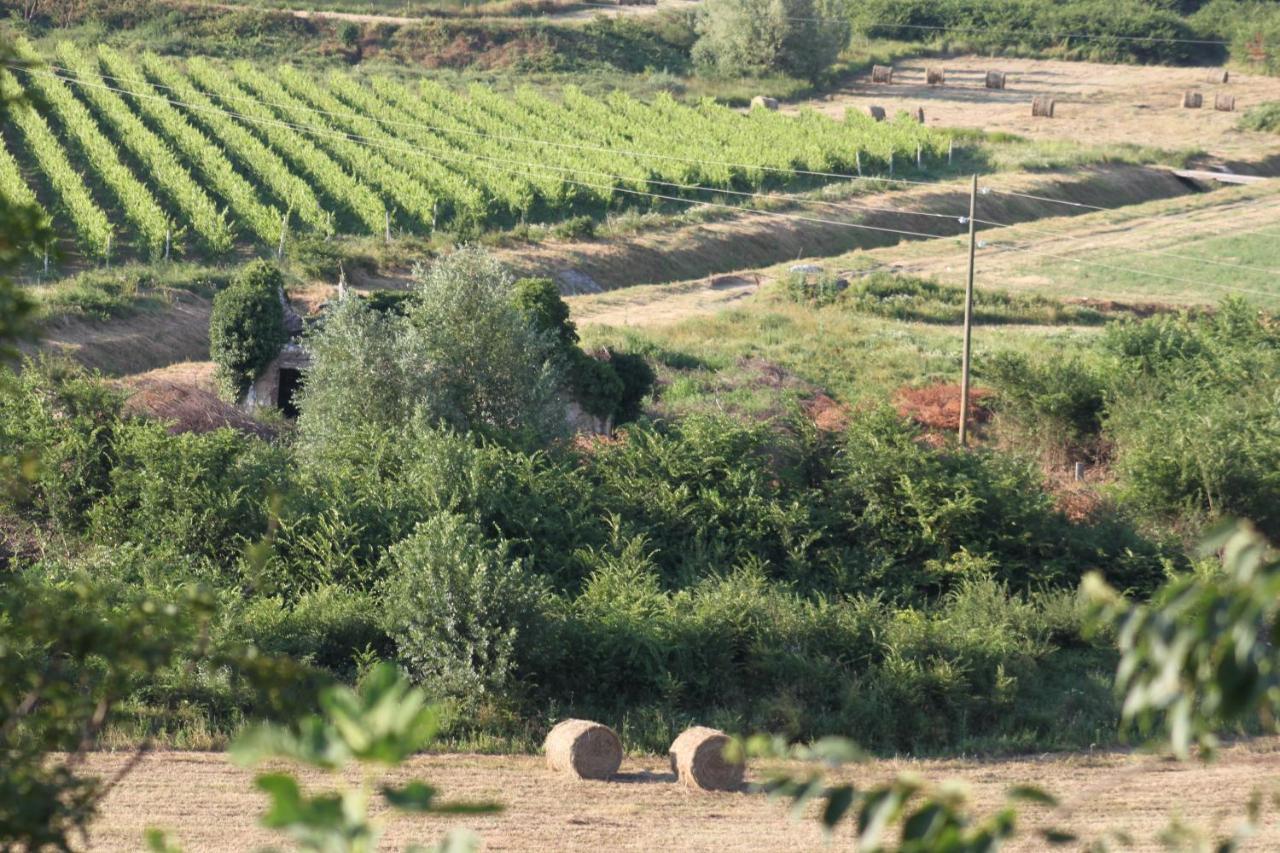 Apartmani Dienes Novi Vinodolski Kültér fotó